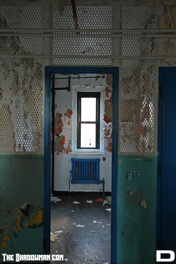 Click here to go to the Gallery containing this image