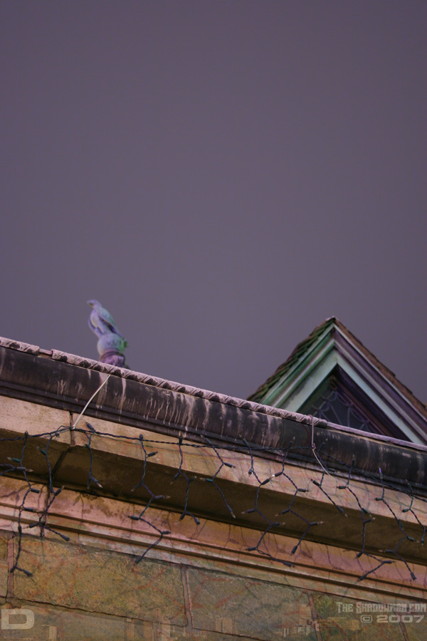 IMG_0081_copy.jpg