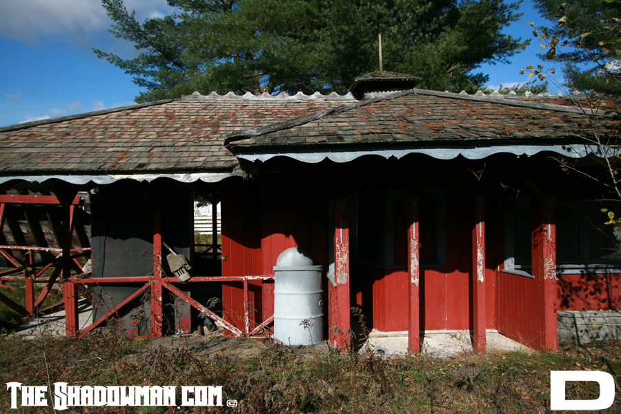 IMG_0101_copy.JPG