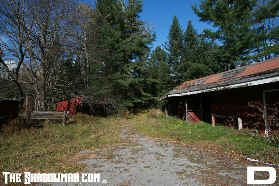 IMG_0124_copy.JPG