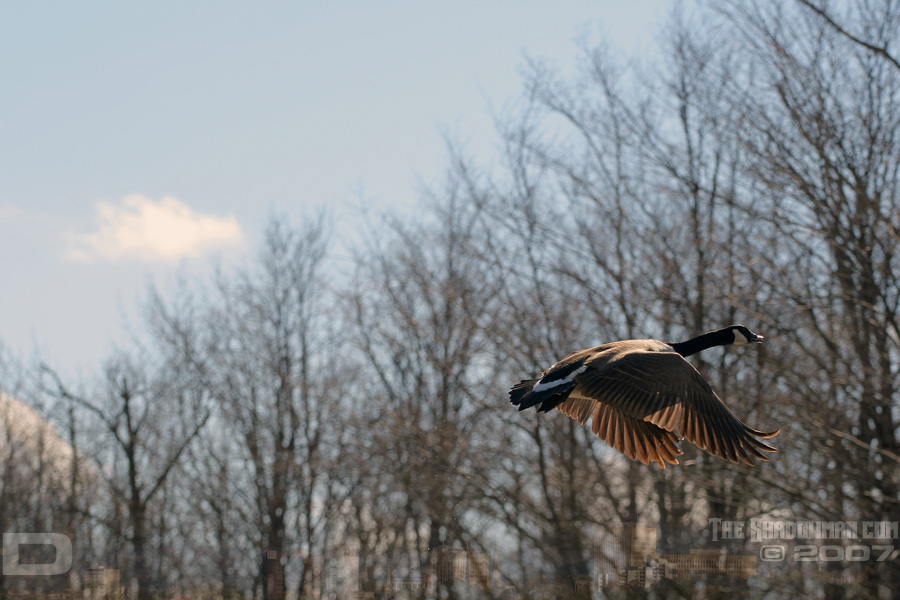 IMG_0488_copy.jpg