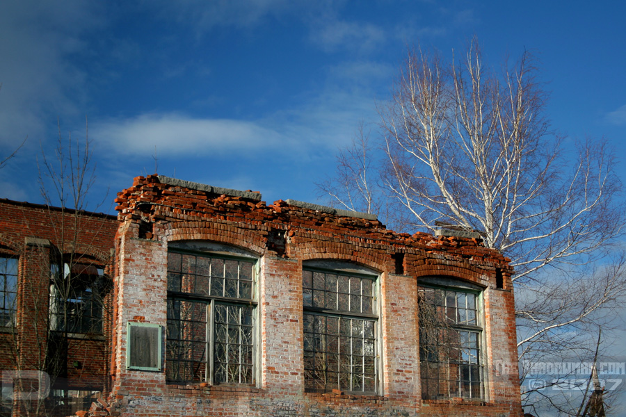 IMG_1374_copy.jpg