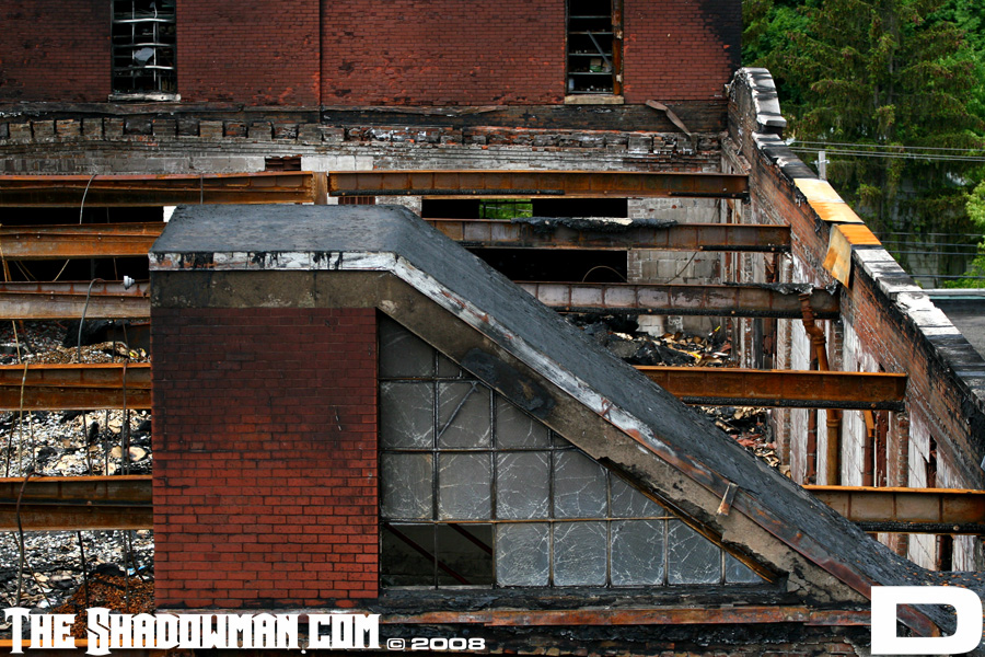 IMG_5965_copy.jpg