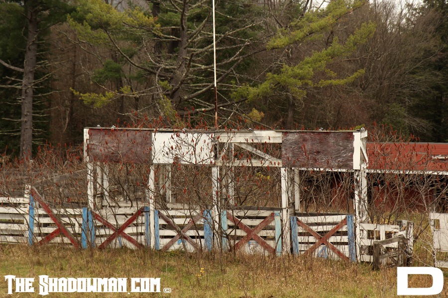 IMG_6139_copy.JPG