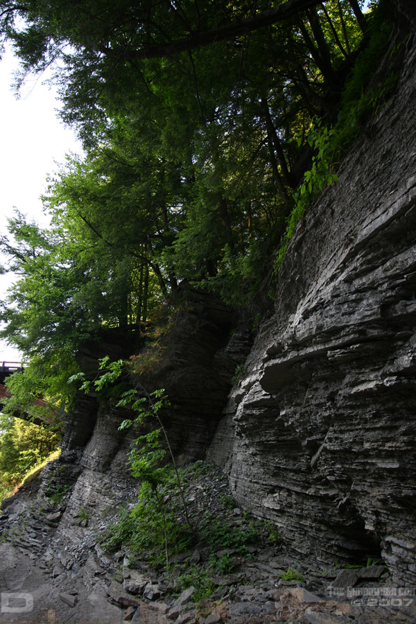 IMG_8427_copy.jpg