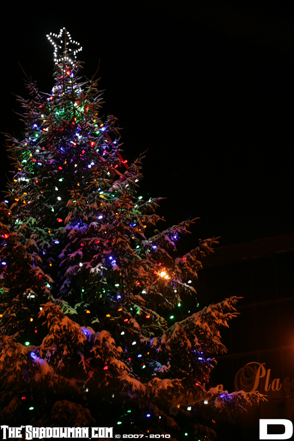 IMG_8490_copy.jpg