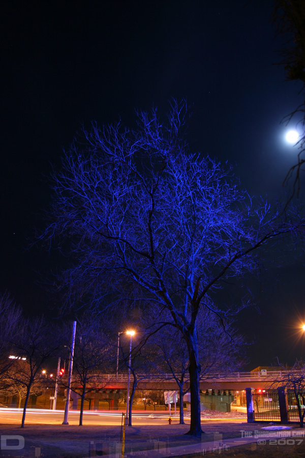 IMG_9903_copy.jpg