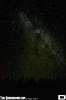 IMG_0029_copy.jpg