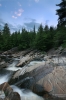 IMG_0466_copy.jpg