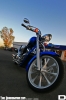 IMG_0972_copy.jpg