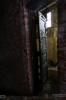 IMG_1050_copy.jpg