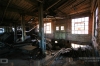 IMG_1104_copy.jpg