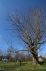 IMG_1431_copy.jpg