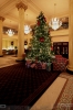IMG_3025_copy.jpg