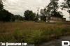 IMG_3287_copy.jpg
