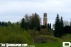 IMG_3371_copy.jpg