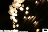 IMG_3721_copy.jpg