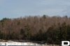 IMG_3792_copy.jpg