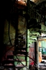 IMG_5523_copy.jpg