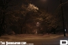 IMG_6199_copy.jpg