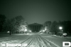 IMG_6234_copy.jpg