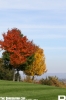 IMG_7159_copy.jpg