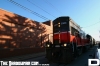 IMG_7305_copy.jpg