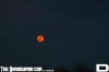 IMG_7319_copy.jpg