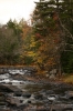 IMG_7610_copy.jpg