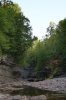 IMG_7687_copy.jpg