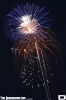 IMG_8067_copy.jpg