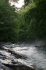 IMG_8077_copy.jpg