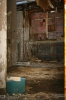 IMG_8160_copy.jpg