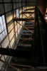 IMG_8234_copy.jpg
