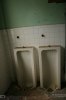 IMG_8241_copy.jpg