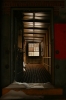 IMG_8262_copy.jpg