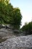 IMG_8418_copy.jpg