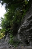 IMG_8427_copy.jpg