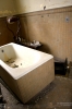 IMG_8506_copy.jpg