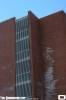 IMG_9029_copy.jpg
