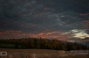 IMG_9312_copy.jpg