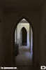 IMG_9491_copy.jpg