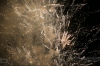 IMG_9917_copy.jpg