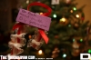 IMG__(18)_copy.jpg