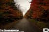 road_copy.jpg