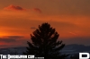 sunsettree_copy.jpg