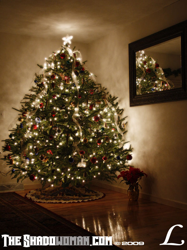Keywords: christmas, 2009