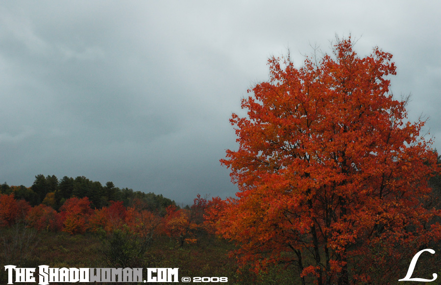 Keywords: adirondacks, fall, autumn, foliage