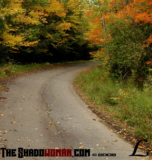 Keywords: adirondacks, fall, autumn, foliage