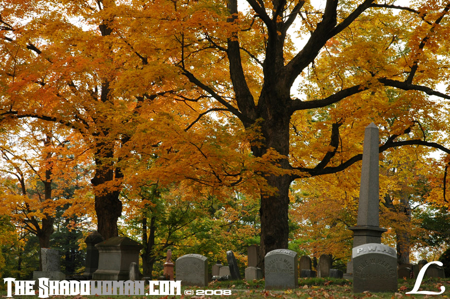 forest_hill_cemetary_024.jpg